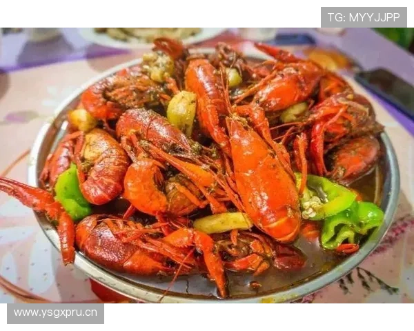 山口茜每天吃三顿饭还得算着卡路里，我连外卖自由都没有