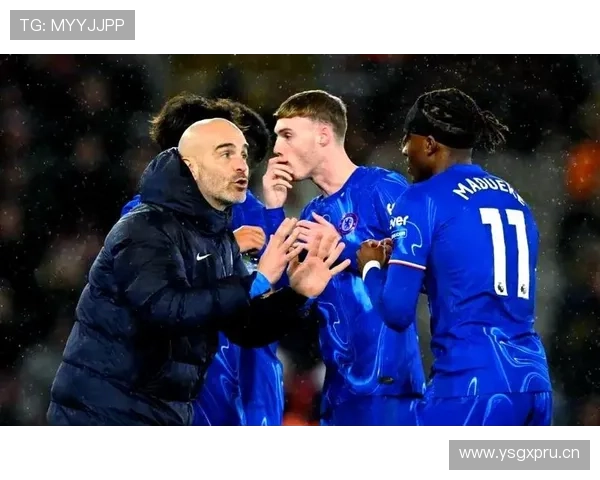 切尔西年轻球员依赖度引发关注，球队现阶段表现稳定性面临考验