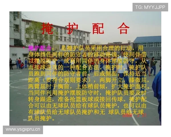 深入解读篮球规则中非法掩护的判定标准与处罚